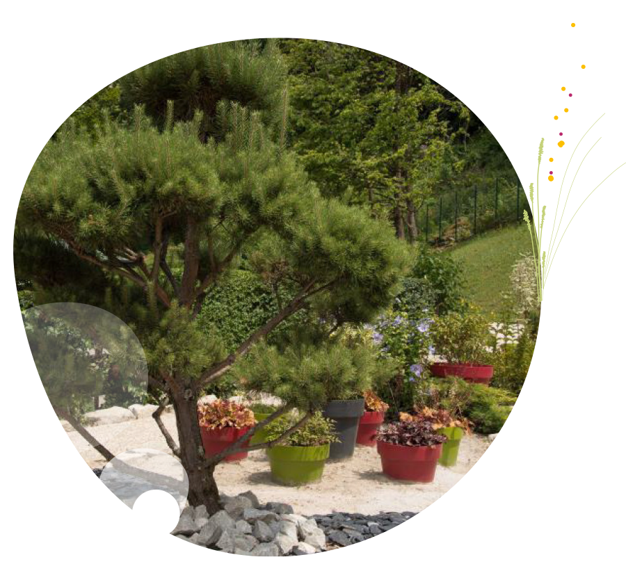Jardin du souvenir